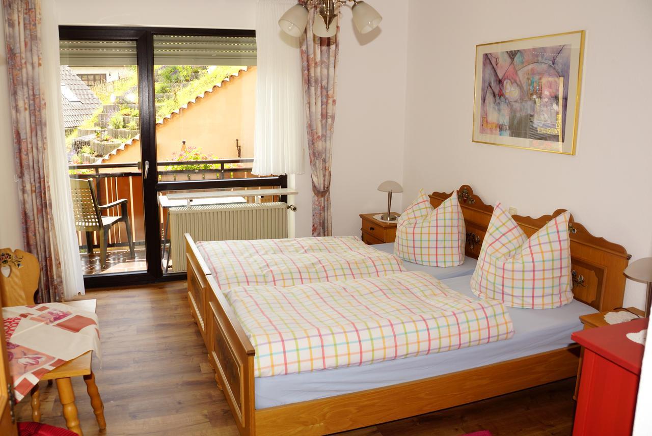 Hotel Garni Berghof Heigenbruecken 外观 照片